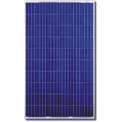 Canadian Solar Panel
